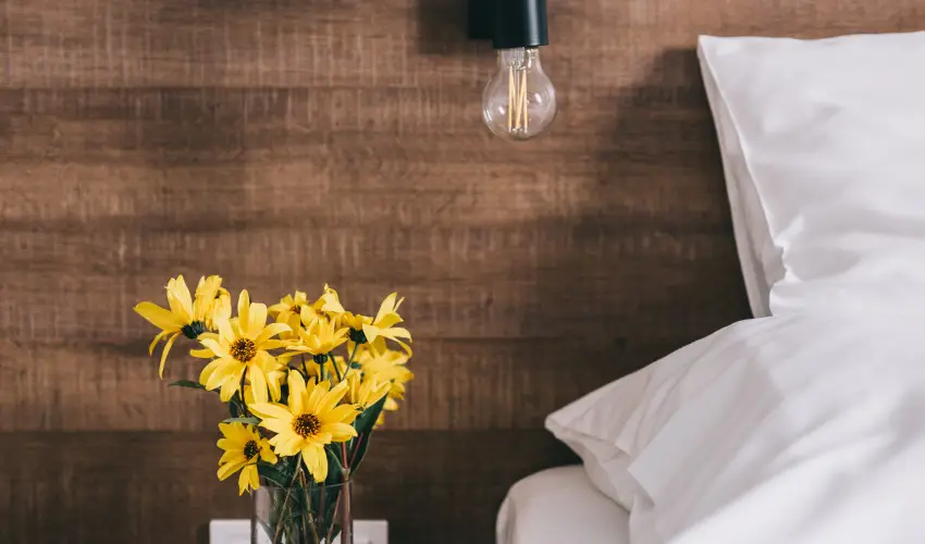 FATA Birtok Vendghz Nemesgulcs - Mjus 1. (min. 2 j)