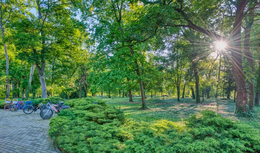 Fnix Wellness Resort Ngrdgrdony - Mjus 1.