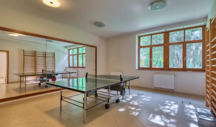 Fnix Wellness Resort Ngrdgrdony - Mjus 1.