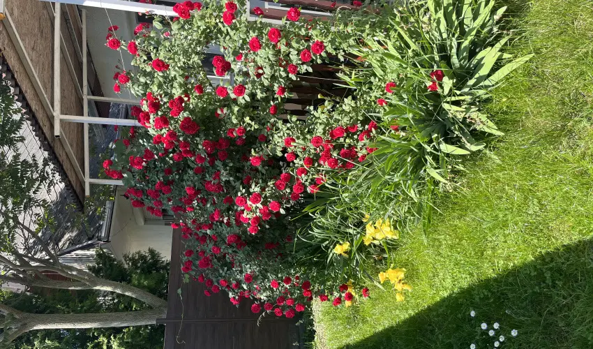 Francesco Apartmanhz Velence - Mjus 1. (min. 2 j)