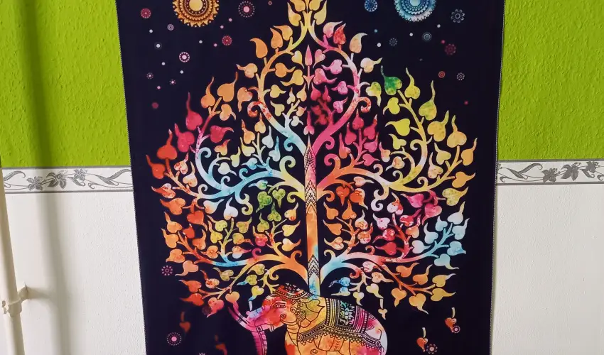 Gbor Vendghz Eger - Mjus 1.