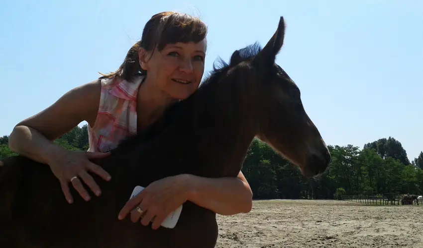 Gerby Kria Hotel s Lovasudvar Lajosmizse - Mjus 1. 