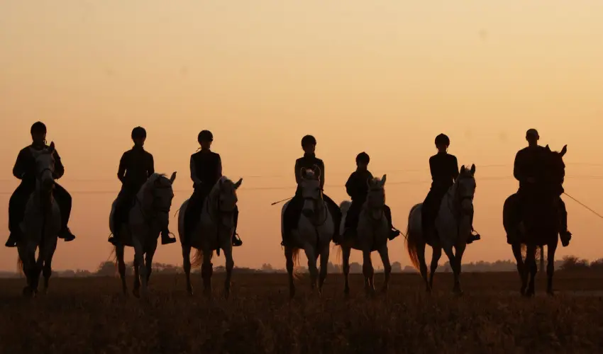 Gerby Kria Hotel s Lovasudvar Lajosmizse - Mjus 1. 