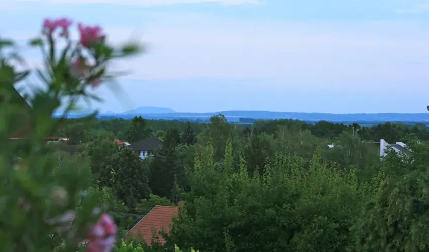 Mese Panzi Zalakaros - Mjus 1. (min. 2 j)