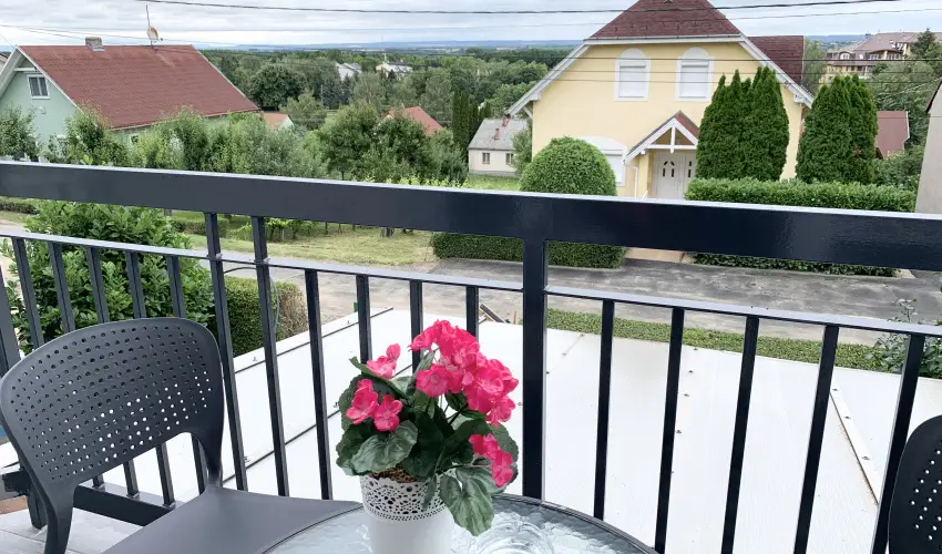 Mese Panzi Zalakaros - Mjus 1. (min. 2 j)