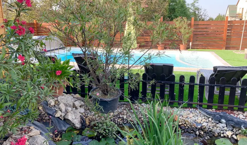 Mese Panzi Zalakaros - Mjus 1. (min. 2 j)