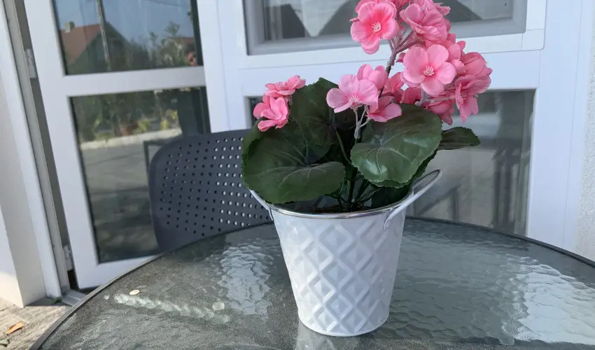 Mese Panzi Zalakaros - Mjus 1. (min. 2 j)