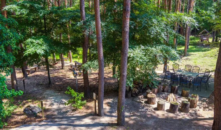 Gosztola Gy�ngye-az erd� sz�llod�ja Gosztola - M�jus 1.