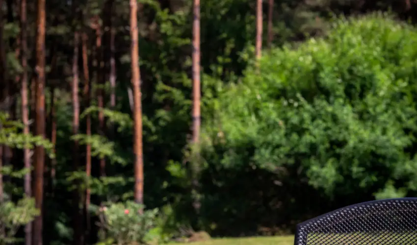 Gosztola Gy�ngye-az erd� sz�llod�ja Gosztola - M�jus 1.