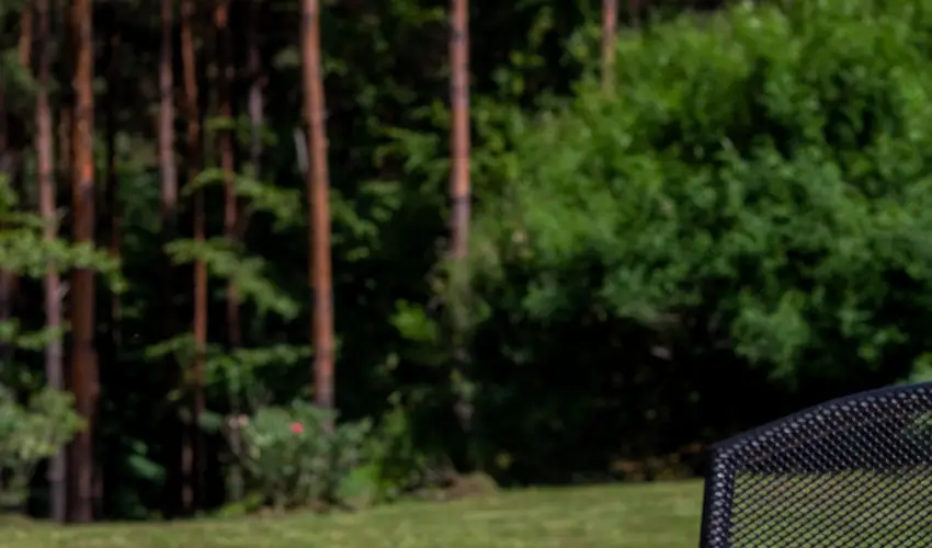 Gosztola Gy�ngye-az erd� sz�llod�ja Gosztola - M�jus 1.