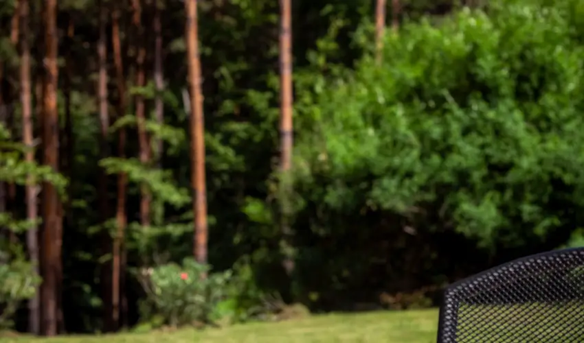 Gosztola Gy�ngye-az erd� sz�llod�ja Gosztola - M�jus 1.