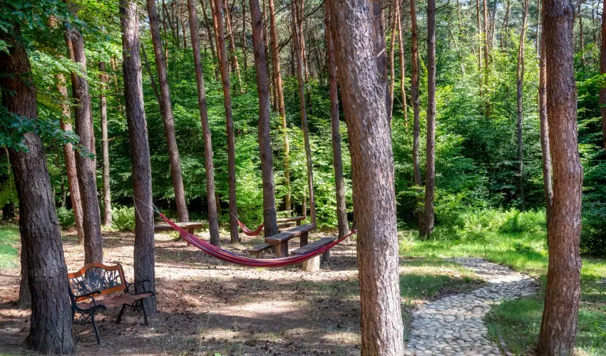 Gosztola Gy�ngye-az erd� sz�llod�ja Gosztola - M�jus 1.