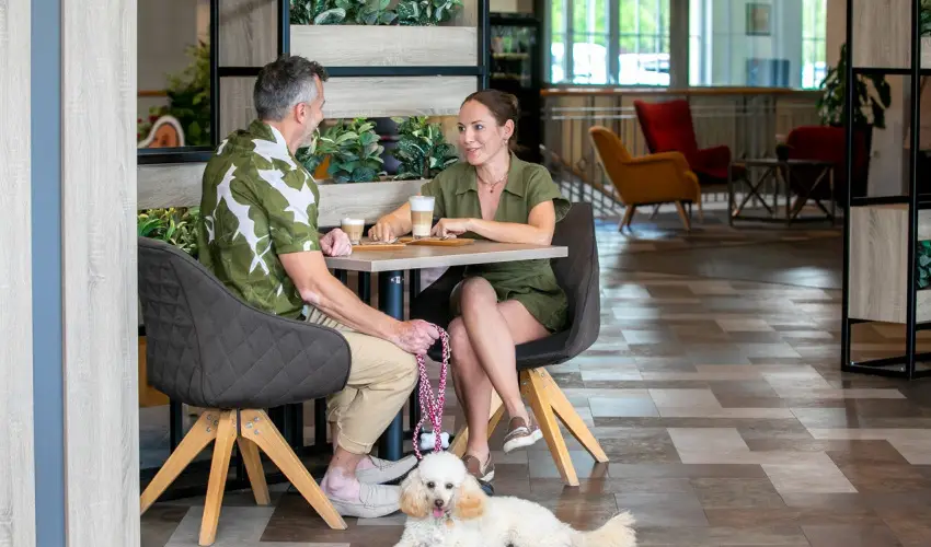 Gotthard Therme Hotel & Conference Szentgotthrd - Mjus 1. (min. 2 j)