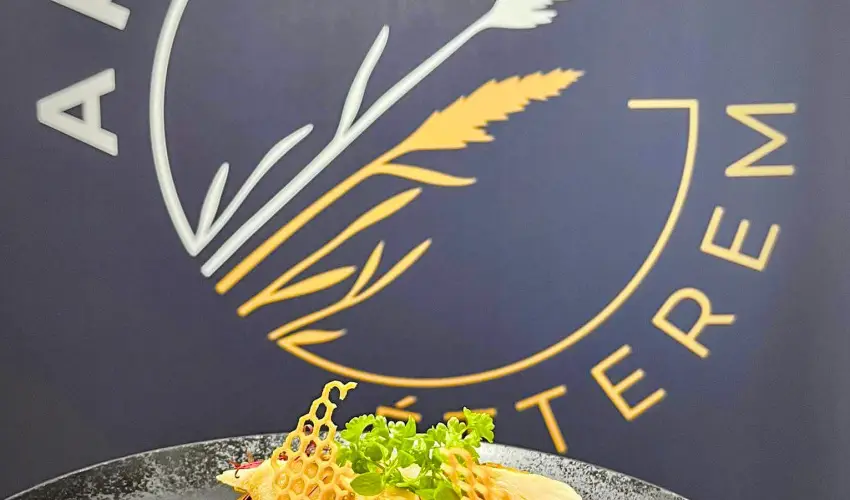 Gyirmt Sport & Wellness Hotel Gyr - Mjus 1. 