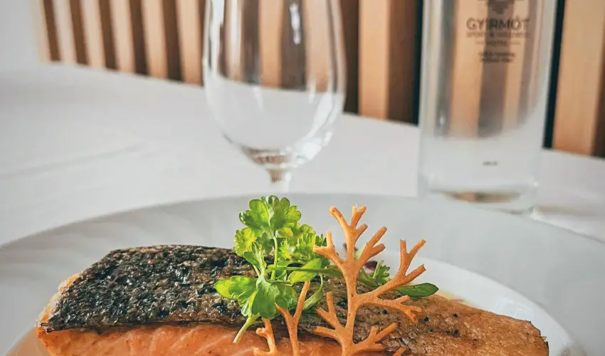 Gyirmt Sport & Wellness Hotel Gyr - Mjus 1. 