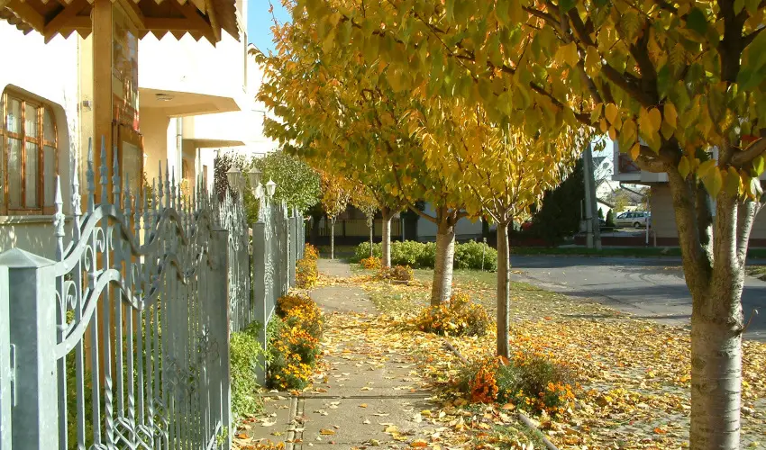 Hajd� Kast�ly Hotel Hajd�szoboszl� - M�jus 1. (min. 3 �j)