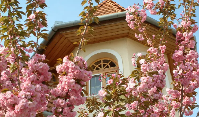 Hajd� Kast�ly Hotel Hajd�szoboszl� - M�jus 1. (min. 3 �j)