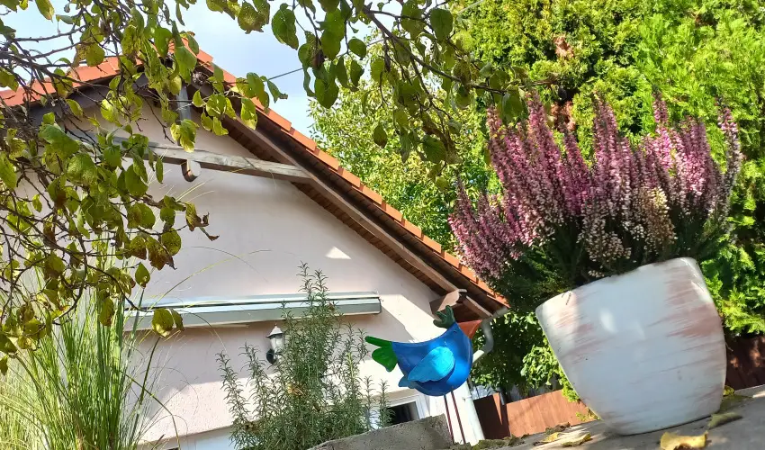 Hanga-lak Velence - Mjus 1. (min. 2 j)