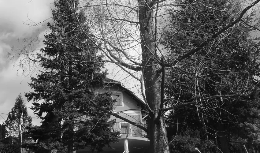 Hanna-Bella Apartman Zalakaros - Mjus 1. (min. 3 j)