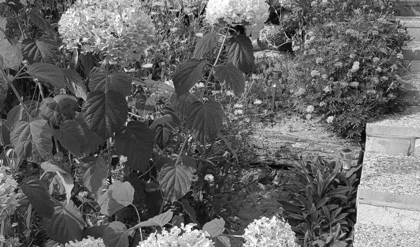 Hanna-Bella Apartman Zalakaros - Mjus 1. (min. 3 j)