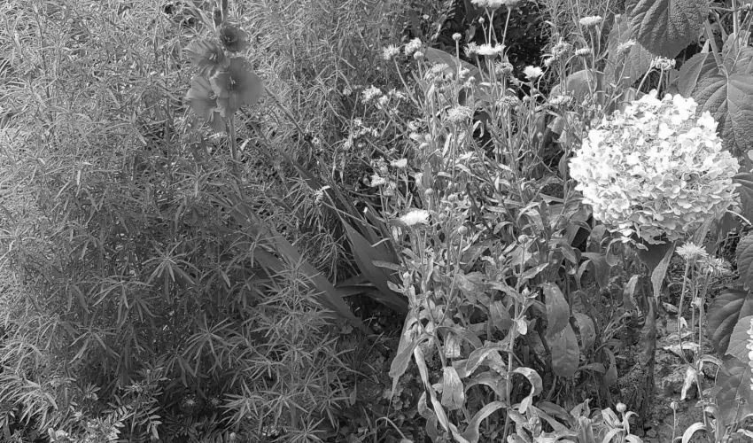 Hanna-Bella Apartman Zalakaros - Mjus 1. (min. 3 j)