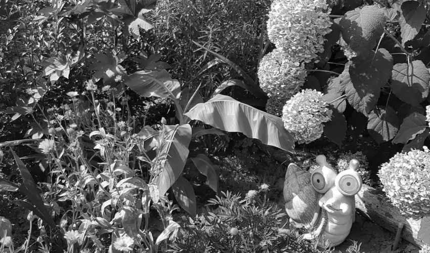 Hanna-Bella Apartman Zalakaros - Mjus 1. (min. 3 j)