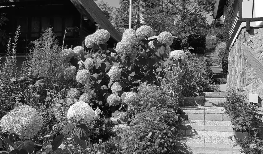 Hanna-Bella Apartman Zalakaros - Mjus 1. (min. 3 j)