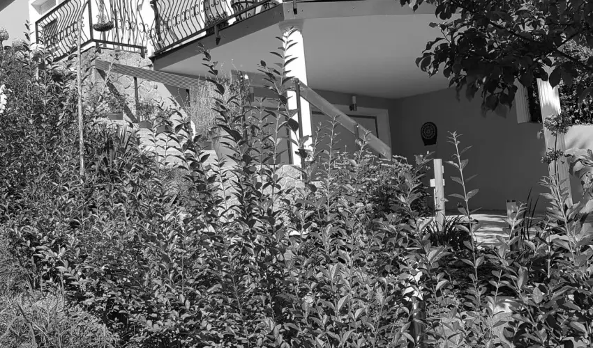 Hanna-Bella Apartman Zalakaros - Mjus 1. (min. 3 j)