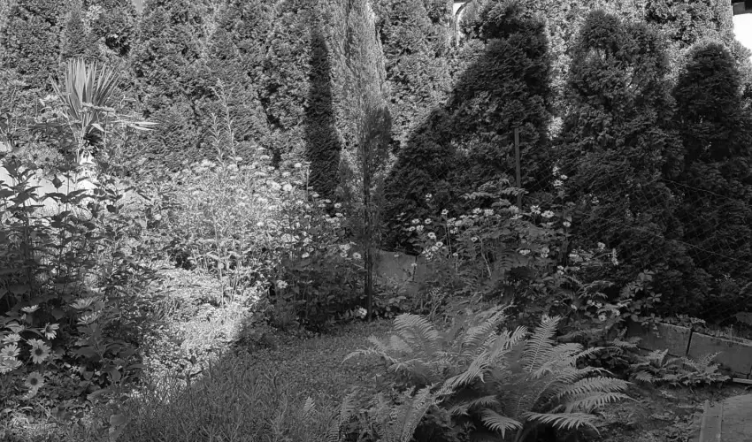 Hanna-Bella Apartman Zalakaros - Mjus 1. (min. 3 j)