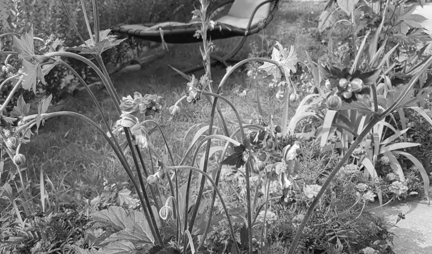 Hanna-Bella Apartman Zalakaros - Mjus 1. (min. 3 j)