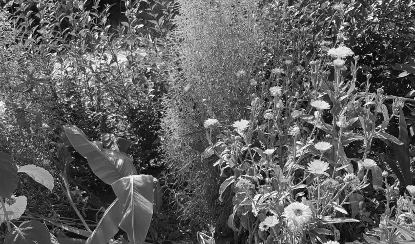 Hanna-Bella Apartman Zalakaros - Mjus 1. (min. 3 j)