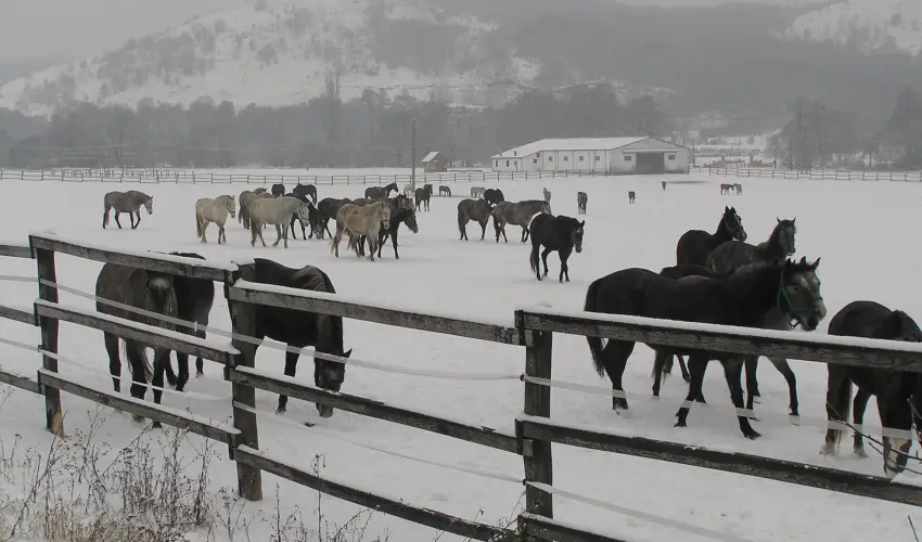 Aliz Villa Szilvsvrad - Mjus 1. (min. 3 j)