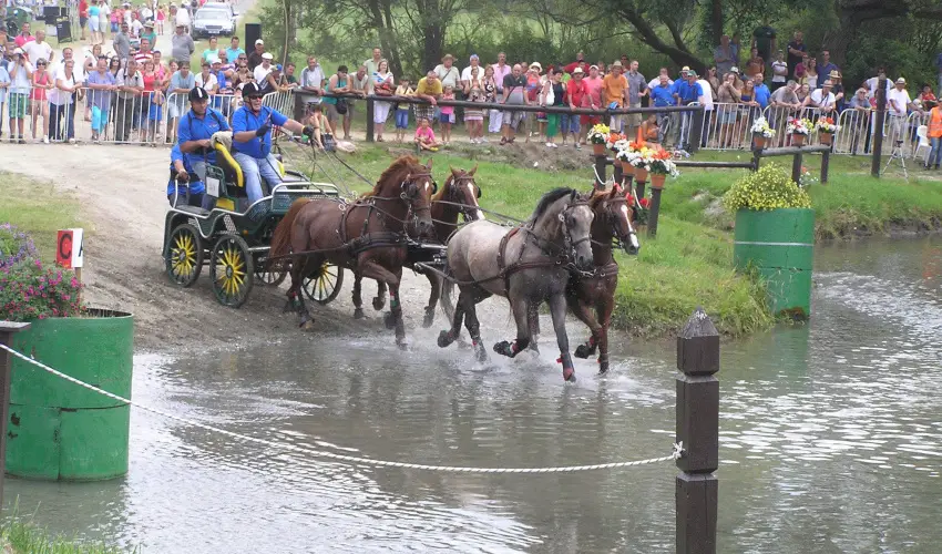 Aliz Villa Szilvsvrad - Mjus 1. (min. 3 j)