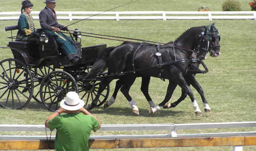Aliz Villa Szilvsvrad - Mjus 1. (min. 3 j)