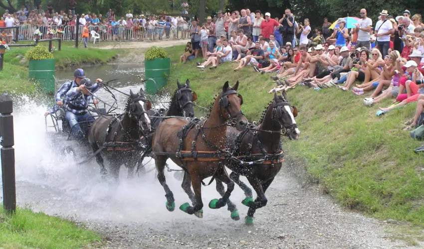 Aliz Villa Szilvsvrad - Mjus 1. (min. 3 j)