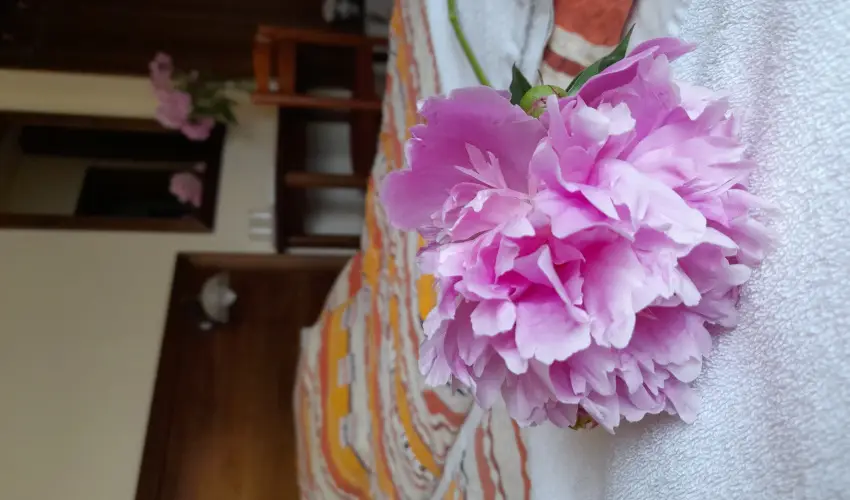 Aliz Villa Szilvsvrad - Mjus 1. (min. 3 j)