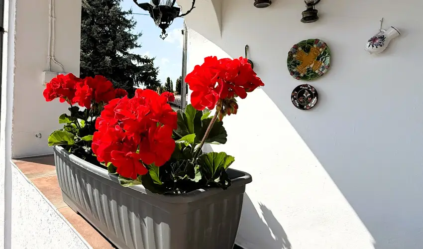 Harmony Vendghz Egerszalk - Mjus 1. (min. 2 j)