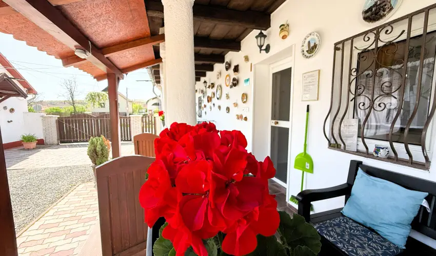 Harmony Vendghz Egerszalk - Mjus 1. (min. 2 j)