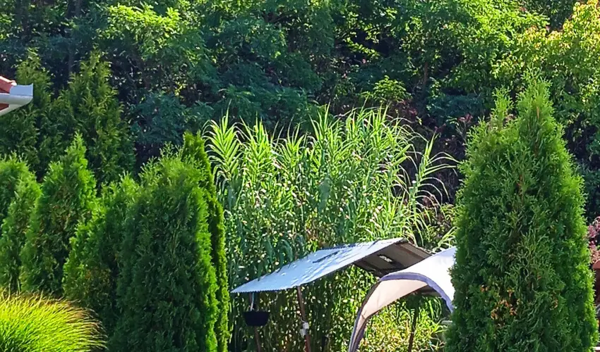 Harmony Vendghz Egerszalk - Mjus 1. (min. 2 j)