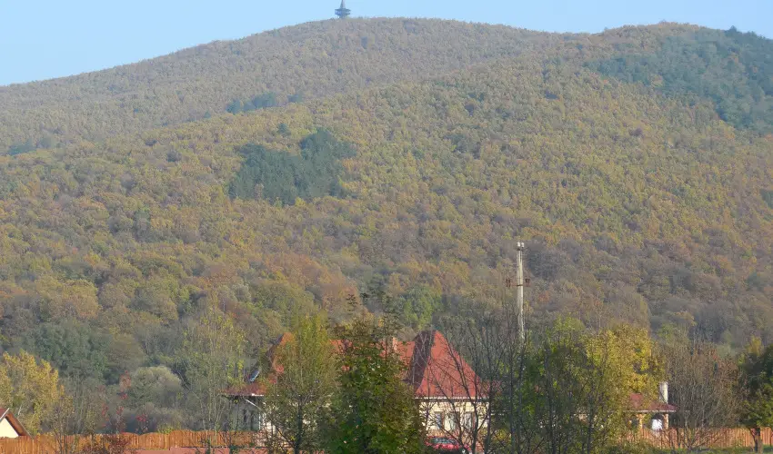 Hegyi Panzi Szilvsvrad - Mjus 1. (min. 2 j)