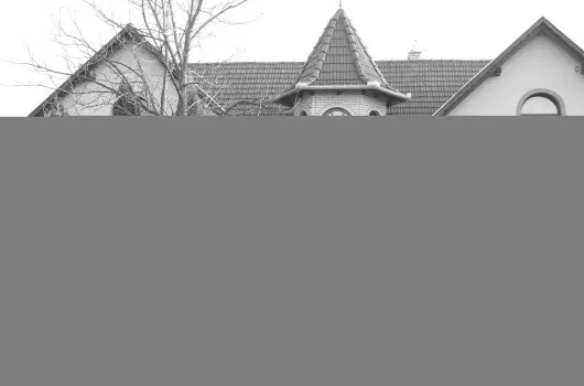 Hegyi Panzi - Mjus 1. (min. 3 j)