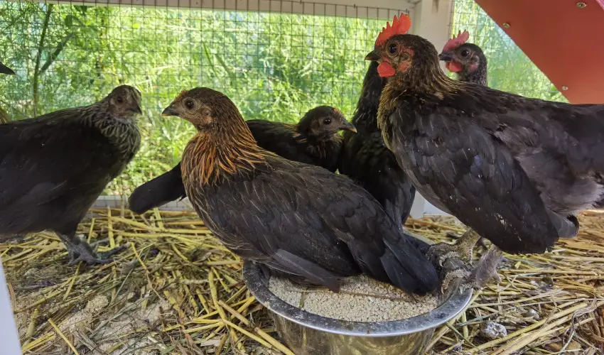 Helna Hotel & SPA Levl - Mjus 1. 