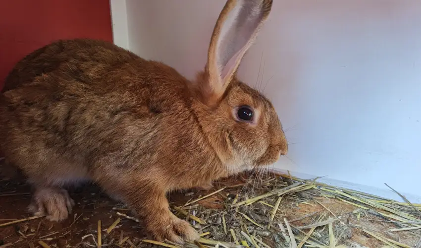 Helna Hotel & SPA Levl - Mjus 1. 