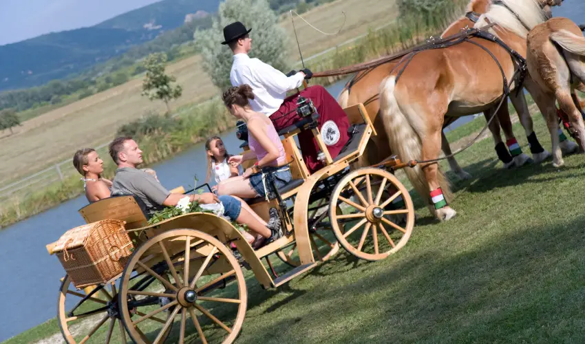 Htkti Wellness Hotel & Lovaspark Mr - Mjus 1.