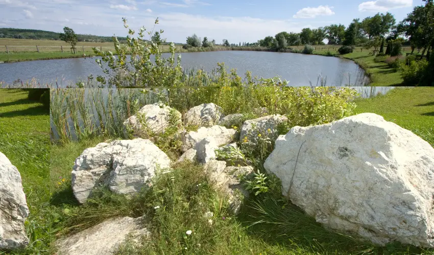 Htkti Wellness Hotel & Lovaspark Mr - Mjus 1.