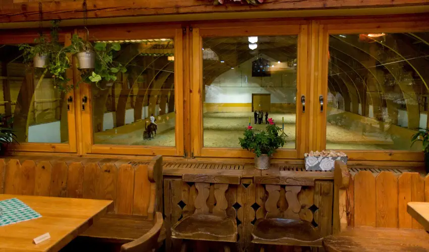 Htkti Wellness Hotel & Lovaspark Mr - Mjus 1.