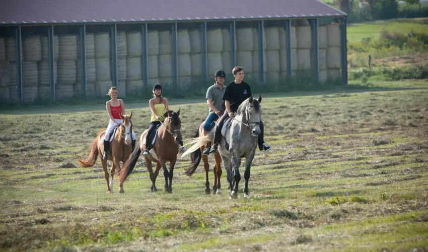 Htkti Wellness Hotel & Lovaspark Mr - Mjus 1.