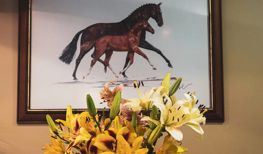 Htkti Wellness Hotel & Lovaspark Mr - Mjus 1.