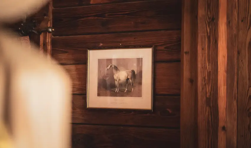 Htkti Wellness Hotel & Lovaspark Mr - Mjus 1.