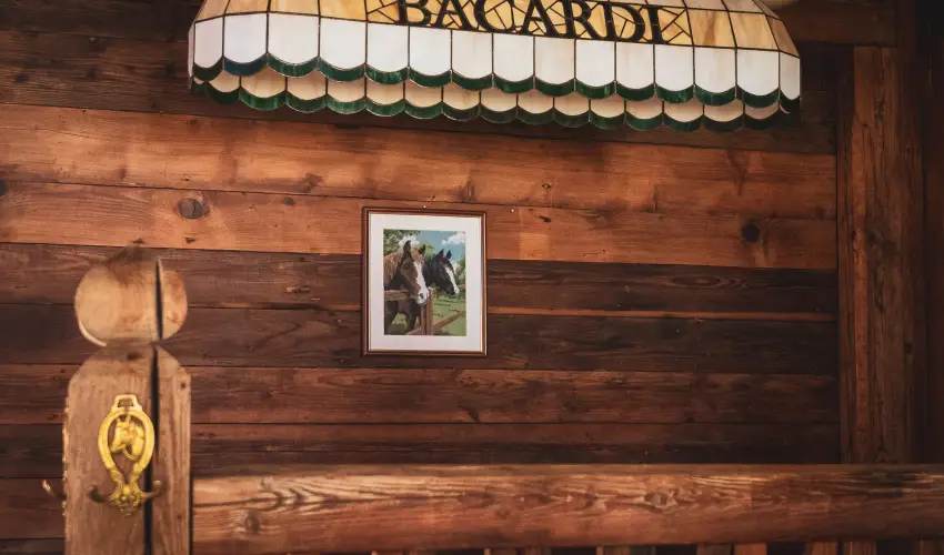 Htkti Wellness Hotel & Lovaspark Mr - Mjus 1.